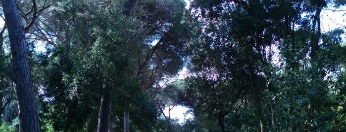 Jardins de Can Sentmenat is one of Ruta a Sarrià-Sant Gervasi. La ruta verda.