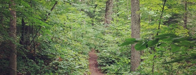 Ampersand Mountain Trailhead is one of สถานที่ที่ Matt ถูกใจ.