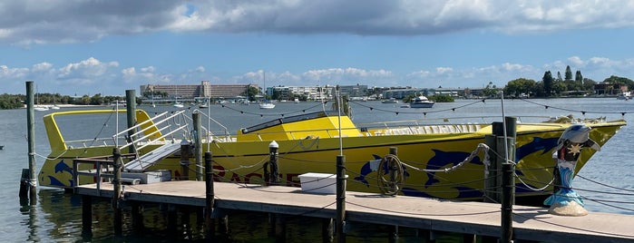 Dolphin Speed Racer Boat is one of Florida.
