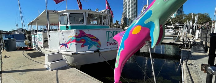 Pier Dolphin Cruises is one of Tampa.