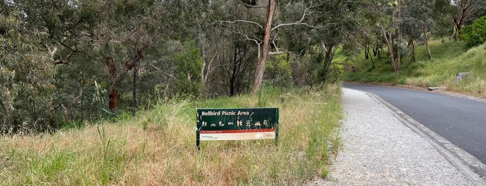 Bellbird Picnic Area is one of nice spots to hang out at.....