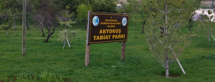 Akyokuş Tabiat Parkı is one of Konya - Yeme İçme Eğlence.