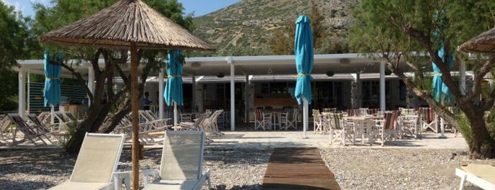 Asterias is one of Sisam.