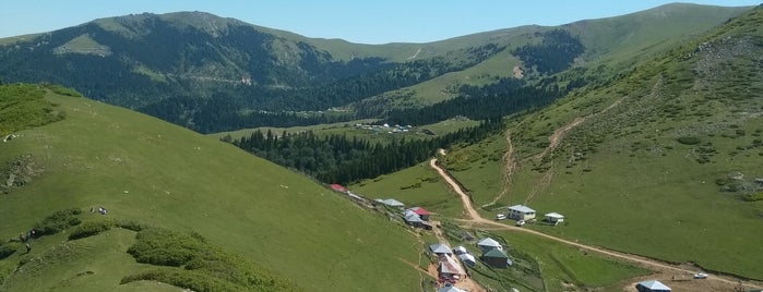 Dikmetaş Yaylası Göleti is one of Samet : понравившиеся места.
