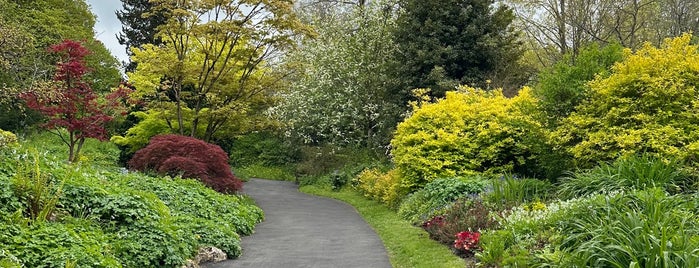 Botanical Gardens is one of Англия Bath.