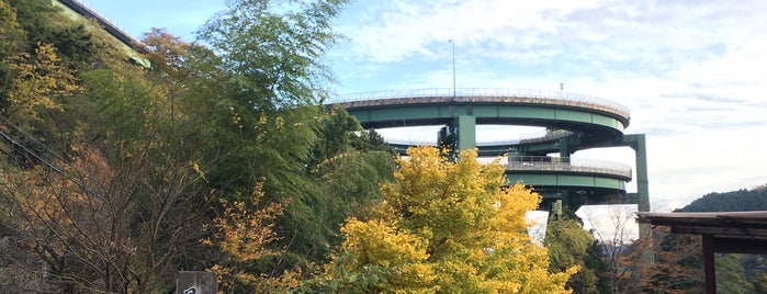 河津七滝ループ橋 is one of 渡った橋（東日本）.