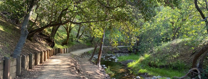 Alum Rock Park is one of South Bay.