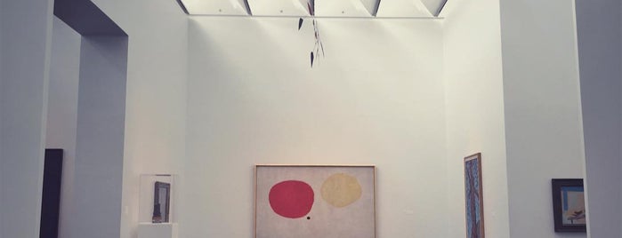 The Menil Collection is one of Art.