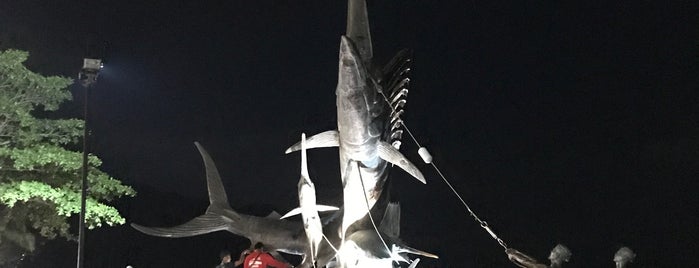 Marlin Sculpture is one of 巨像を求めて.