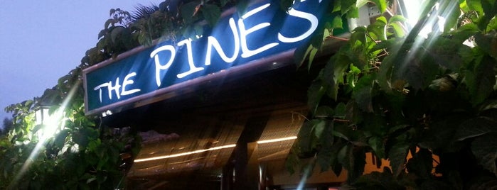 The Pines - Pub & Restaurant is one of Ye-iç.
