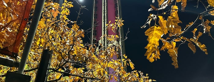 Drop Tower is one of Canada's Wonderland.