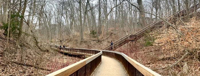 Glen Manor Ravine is one of Walkabout Toronto.