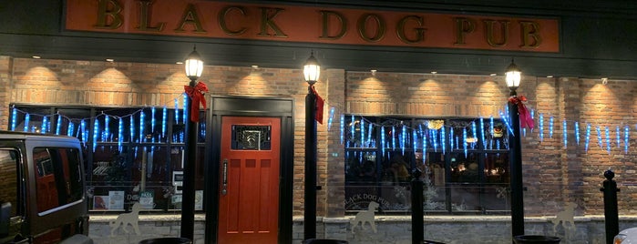 Black Dog Pub is one of Bucket.