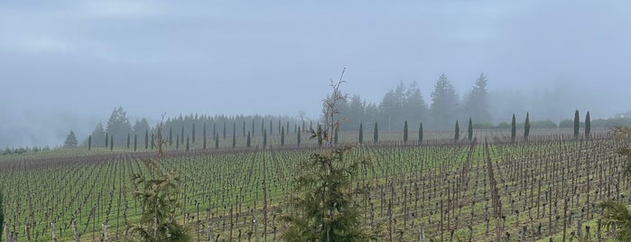 Alloro Vineyard is one of Winereries to visit.