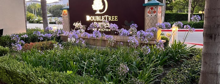 DoubleTree by Hilton is one of The 15 Best Places with Good Service in Anaheim.