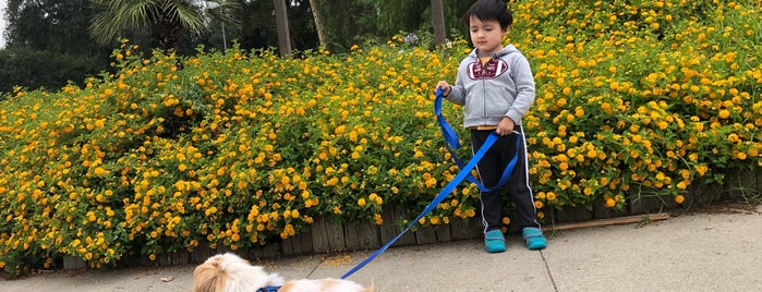 Lanark Park is one of Melissa 님이 좋아한 장소.