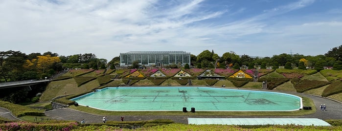 Hamamatsu Flower Park is one of Hamamatsu to Shizuoka.