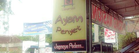 Umandai Ayam Penyet is one of All in Dompu.