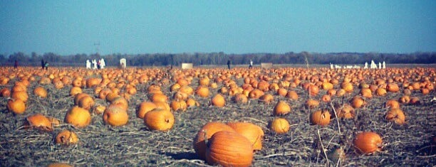 Carolyn's Country Cousins Pumpkin Patch is one of Emily 님이 저장한 장소.