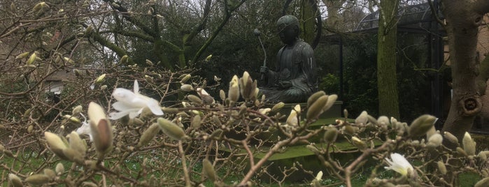Boeddha 'Bodhisatva Ji-Zö So-satsu' is one of Japan 🇯🇵 in Amsterdam ❌❌❌.
