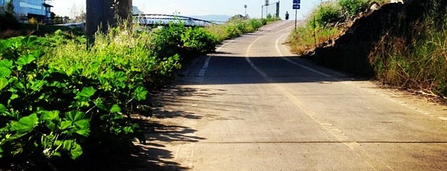 San Tomas Aquino Creek Trail @ 237 is one of Posti che sono piaciuti a Jared.