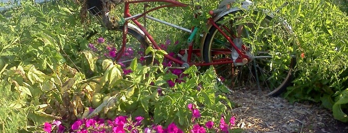 Fenton community garden is one of Locais curtidos por Lisa.