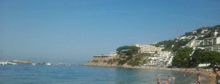 Platja de l'Almadrava is one of Imprescindible a Roses.