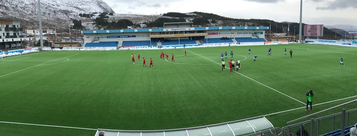 Høddvoll Stadion is one of Norske fotballarenaer/Norwegian football stadiums.