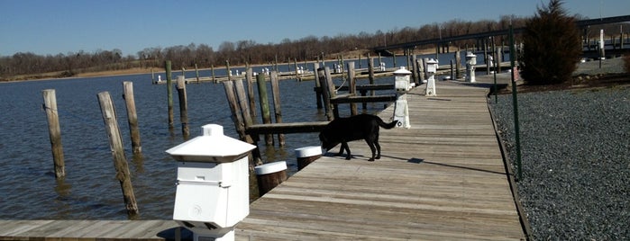 Hack's Point Marina is one of Member Discounts: North East.