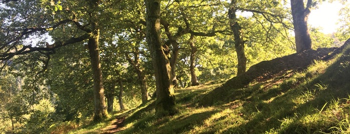 Gwerniago Farm Camping is one of Wales.