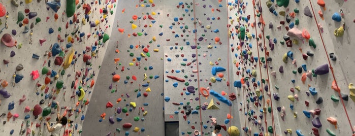 T-WALL is one of Let's Climbing Gym.