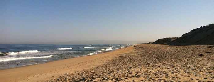 Marina State Beach is one of Tempat yang Disukai Jess.