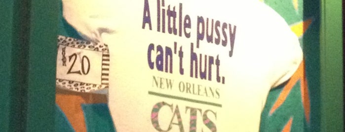 Cat's Meow is one of Floride.