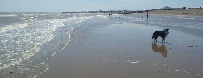 Pevensey Bay Beach is one of Lieux qui ont plu à Puppala.