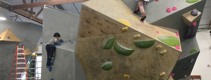 Elevation Bouldering is one of Rock climbing gyms.