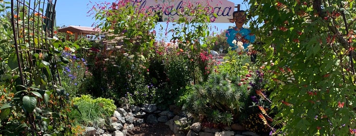 Annie's Annuals & Perennials is one of east and south bay.