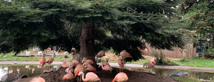 Sequoia Park Zoo is one of Anthony : понравившиеся места.