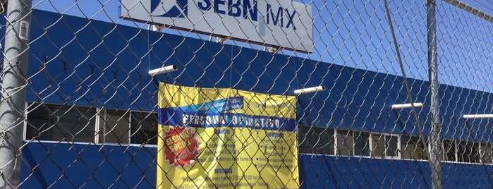 SEBN MX is one of Mis Clientes.