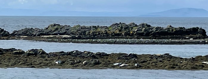 Seals lookout is one of Iceland.