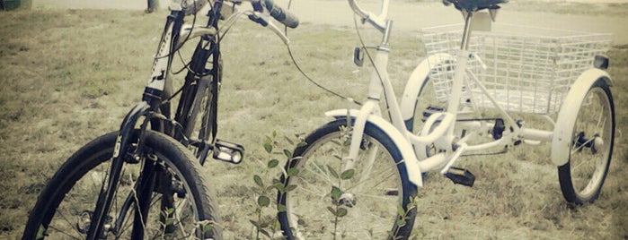 Planet Bike is one of Locais curtidos por MarkoFaca™🇷🇸.