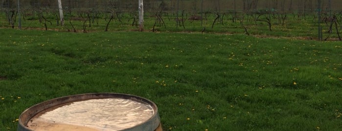Gouveia Vineyards is one of Rachel’s Liked Places.