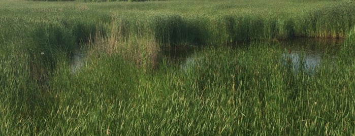 Fort Saybrook Monument Park is one of Lugares favoritos de Rachel.