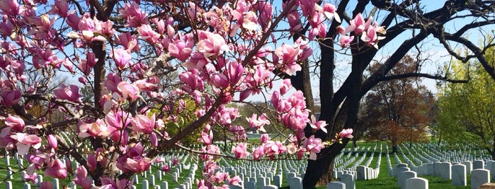 Arlington National Cemetery is one of Orte, die Rachel gefallen.