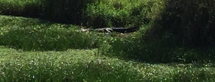 Myakka Park Visitors Center is one of Tempat yang Disukai Lizzie.