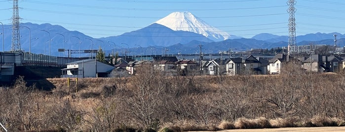 多摩川河川敷公園 is one of 多摩川.