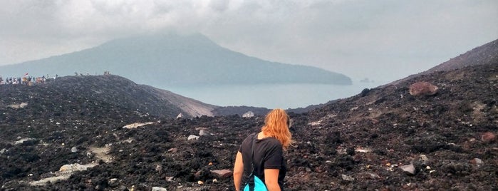 Pulau Anak Krakatau is one of RizaLさんのお気に入りスポット.