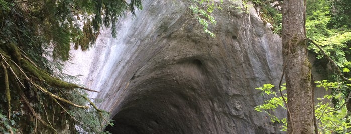 İlgarini magarasi is one of Amasra.