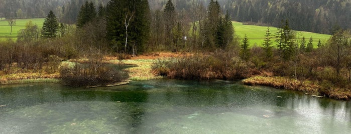 Naravni rezervat Zelenci is one of Triglav.