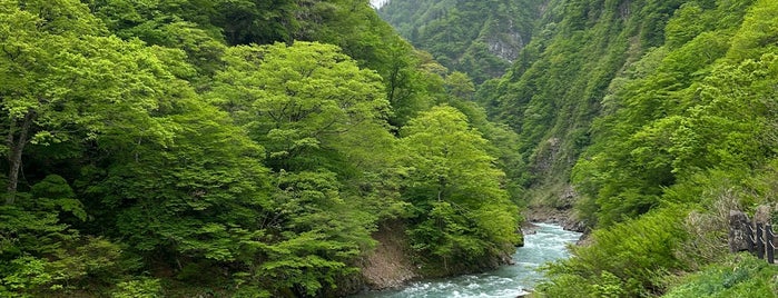 Kiyotsu Gorge is one of 新潟に行ったらココに行く！ Vol2.