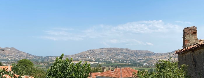 Kemancı Şarap Evi is one of Gökçeada.